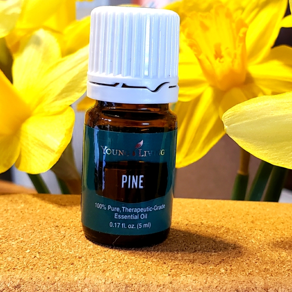 Young Living 5ml PINE